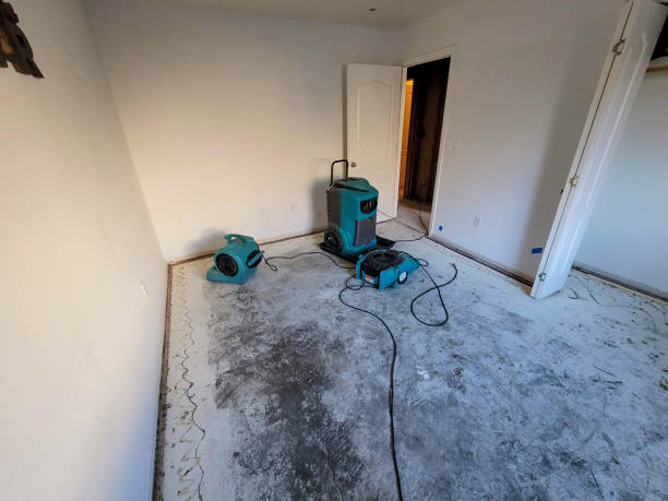 Best Flood restoration services  in Oneida, NY