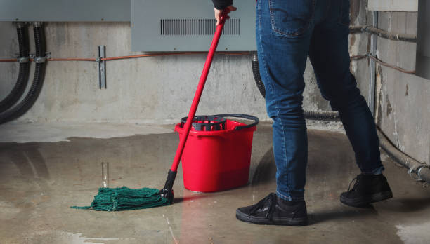 Best Local water damage restoration  in Oneida, NY