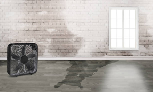 Professional Water damage restoration in Oneida, NY