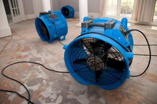 Best Water damage contractors near me  in Oneida, NY
